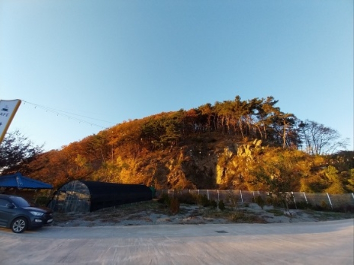 사진 03