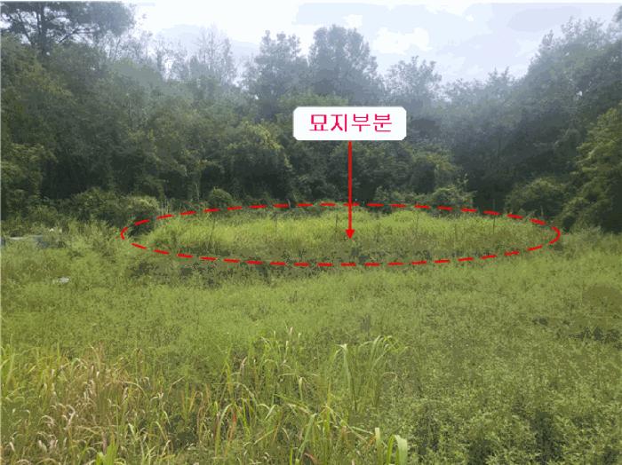 사진 05