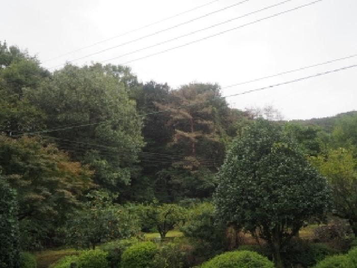 사진 01