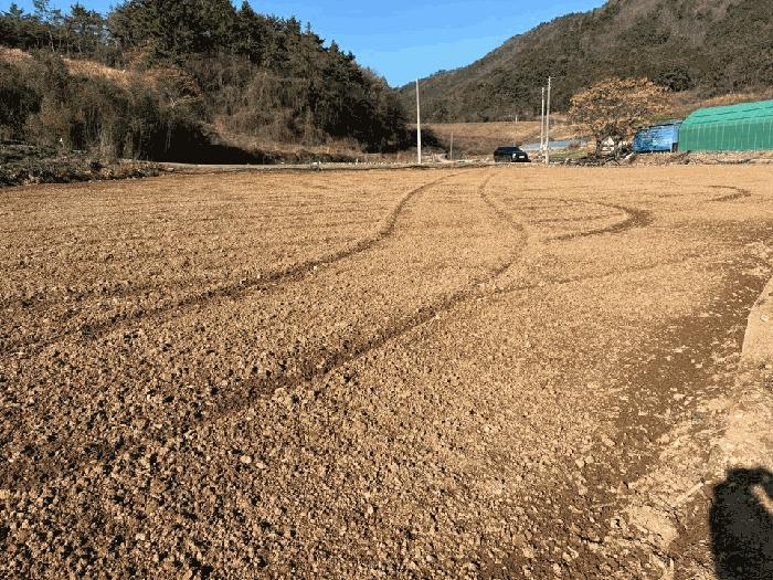 사진 03