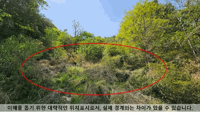 사진 05