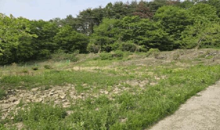 사진 02